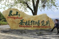 象山茶文化公園