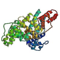 蛋白質結構
