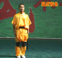 虎拳[中國傳統武術流派之一]