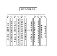 軟徠控股份有限公司