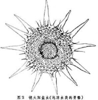 放射性標記化合物