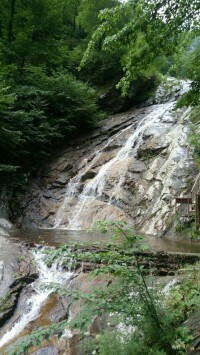 青峰峽森林公園開園典禮