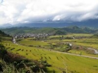 金坪村[雲南省昭通大關縣翠華鎮金坪村]