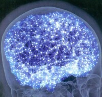 百萬億神經連接 編織 意識