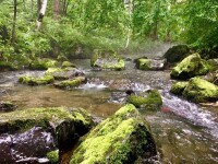 吉林長白山天然礦泉水