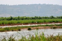 千河千陽縣境內馮家山水庫上游