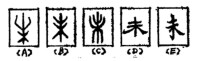 “未”字的甲骨文、金文、小篆、隸書、楷書