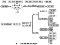 中國消費者購買行為模式