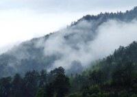 董奉山國家森林公園