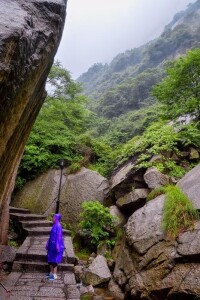 遊客在上山的路上