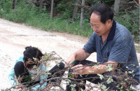 響水庄村風土人情