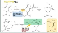 硫葉立德