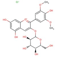 越橘提取物化學表達