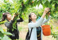 在西安 萱野可芬和萱野可芳