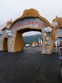 雲霧山香柚產業園