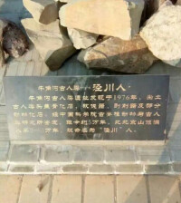 牛角溝遺址