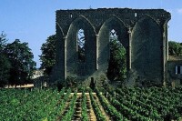 Saint Emilion