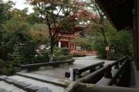 （圖）賀茂別雷神社