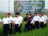 兩張圖片為2009年6月12日，溫家寶總理到永安優質稻生產基地調研