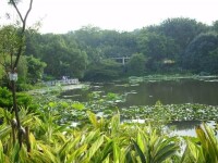 雲溪生態公園