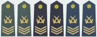 陸海空軍二級軍士長軍銜肩章(2009—)