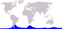 沙漏斑紋海豚地理分佈