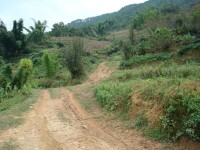 進村道路