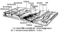 泥石流沉積物結構分析圖片