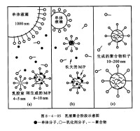 聚合過程