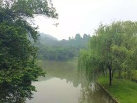 龍頭山森林公園