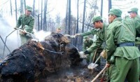 蘇寧團參加深林救火