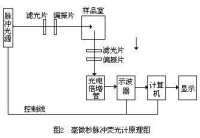 毫微秒脈衝熒光計原理圖