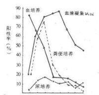 傷寒患者不同病期標本的陽性檢出率