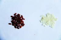 胭脂米和普通米