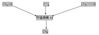 厭氧生物處理技術