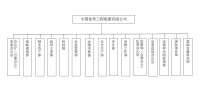 中國化學工程集團有限公司