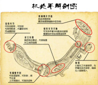 機關手（動畫第二部設定）