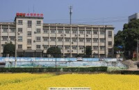 中國水稻研究所