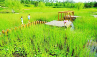 臨汾市汾河公園踏浪湖景點