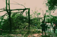 9615號颱風災害圖片