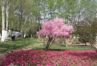 西寧植物園