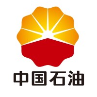 cpecc[中國石油工程建設公司簡稱]