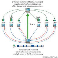 BitTorrent流程