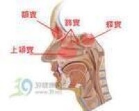 《鼻出血的治療》