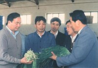 王伯祥(左二)陪同王樂泉在蔬菜市場