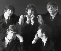 The byrds