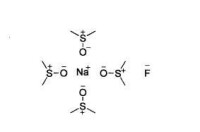 二甲亞碸中氟化鈉的溶劑化