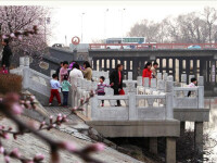 天津桃花園