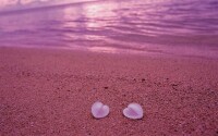巴哈馬群島——粉色沙灘