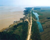 黃河大堤